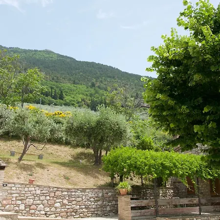Casa Vacanze L'Olivo Al Borghettaccio Дом отдыха Ассизи