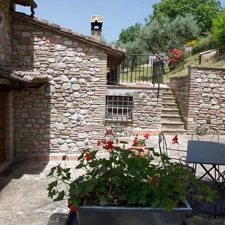 L'olivo Al Borghettaccio