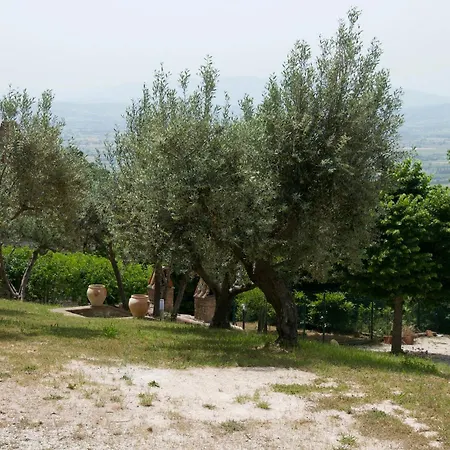 Vakantiehuis L'olivo Al Borghettaccio