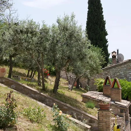 Casa Vacanze L'Olivo Al Borghettaccio *