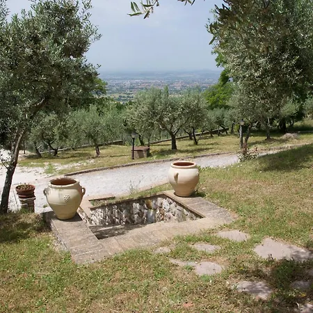 Дом отдыха Casa Vacanze L'Olivo Al Borghettaccio