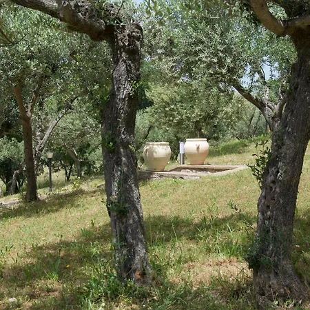 Tatil Evi Il Borghettaccio *