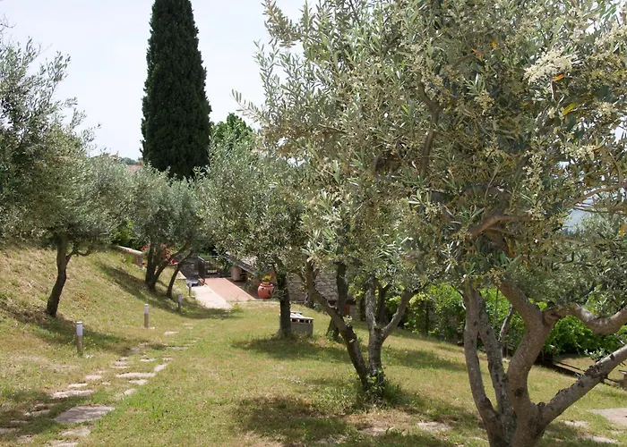 L'olivo Al Borghettaccio Ferienhaus *