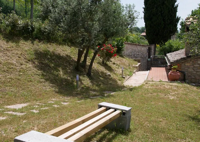 L'olivo Al Borghettaccio