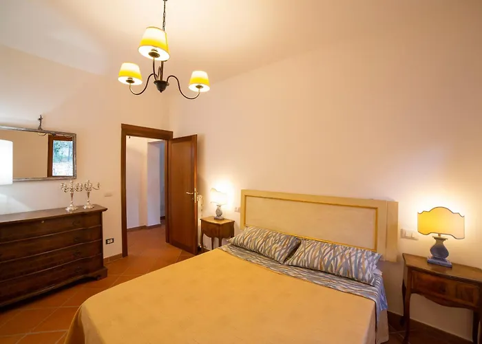 L'olivo Al Borghettaccio