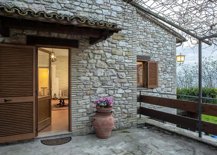 L'olivo Al Borghettaccio *