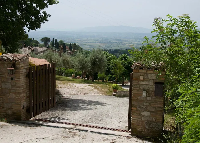 L'olivo Al Borghettaccio Assisi