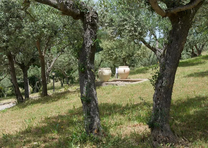 Vakantiehuis L'olivo Al Borghettaccio *